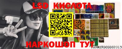 spice Новозыбков