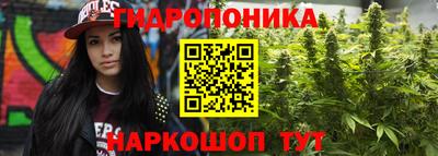 ГАЛЛЮЦИНОГЕННЫЕ ГРИБЫ Нягань
