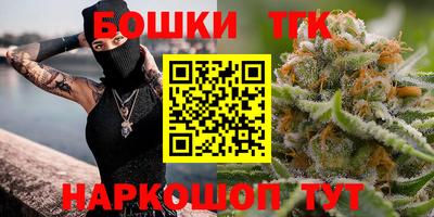 ешки Новодвинск