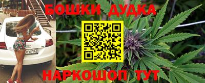 ешки Новодвинск