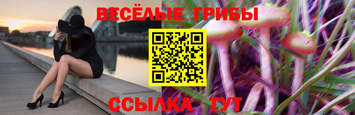 Галлюциногенные грибы GOLDEN TEACHER Среднеуральск